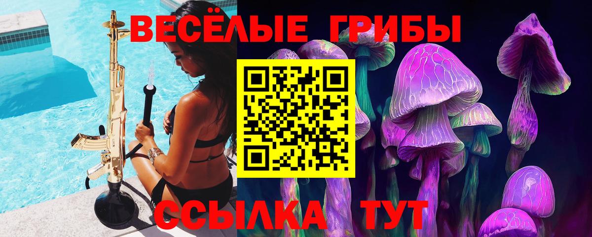 Галлюциногенные грибы Psilocybine cubensis Карасук