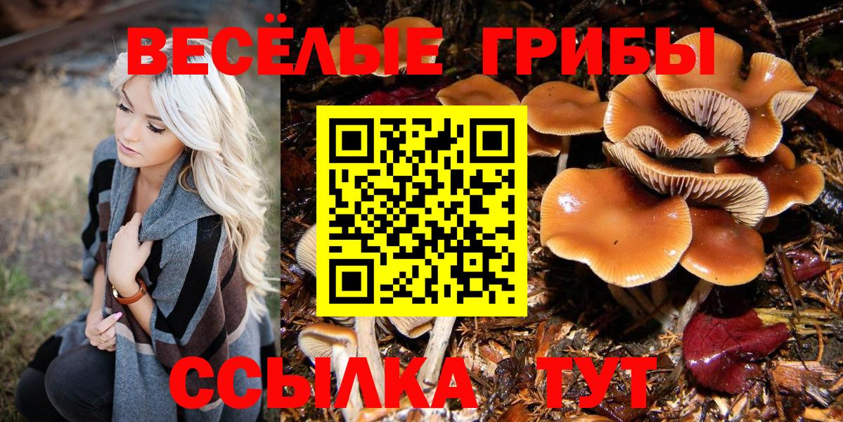 Карасук  Галлюциногенные грибы мицелий  Вход с VPN 